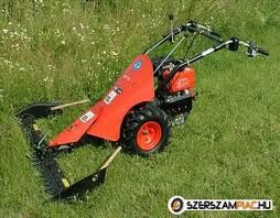 images_22.jpg